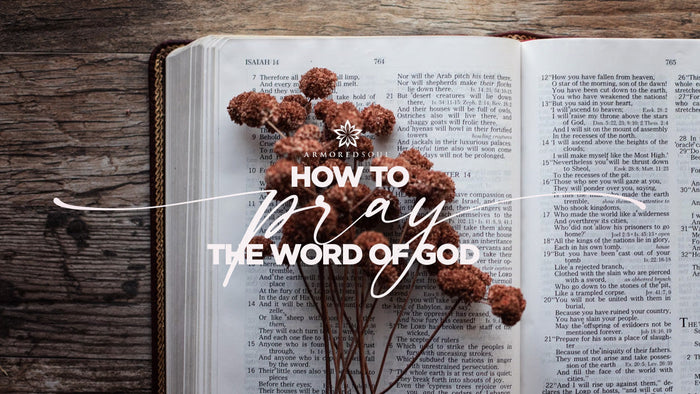 How to Pray the Word of God